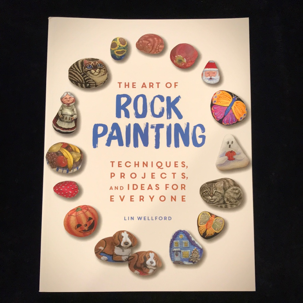 Brand New Barnes  Noble The Art Of Rock Painting Book